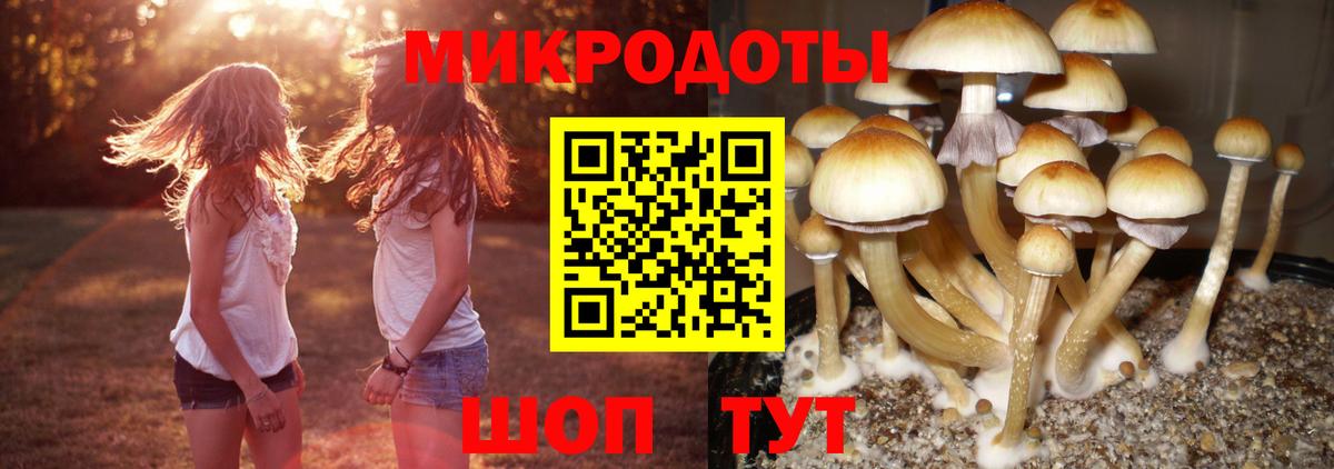 Галлюциногенные грибы GOLDEN TEACHER  Галлюциногенные грибы MAGIC MUSHROOMS  Калуга  Вход с VPN 