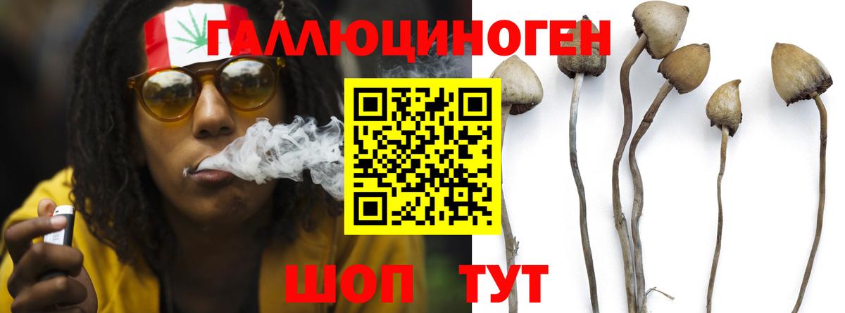 Галлюциногенные грибы прущие грибы Калуга